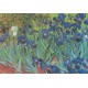 Grafika - Van Gogh Vincent - Saint-Remy - Les Iris, 1889