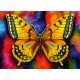 Grafika - XXL Pieces - Butterfly