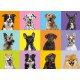 Grafika - XXL Pieces - Collage of Dogs