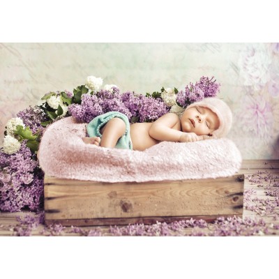 Grafika - 12 pièces - Konrad Bak: Baby sleeping in the Lilac