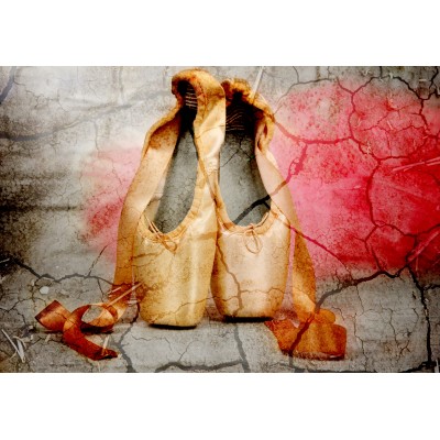 Grafika - 12 pièces - Vintage Dancing Shoes