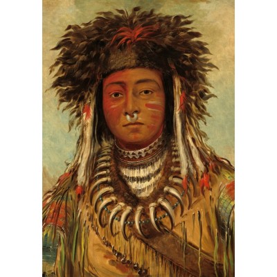 Grafika - 12 pièces - George Catlin: Boy Chief - Ojibbeway, 1843