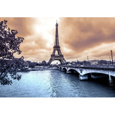 Grafika - 204 pièces - Eiffel Tower from Seine. Winter rainy day in Paris