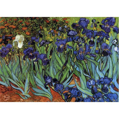 grafika-Puzzle - 24 pieces - Vincent van Gogh, 1889