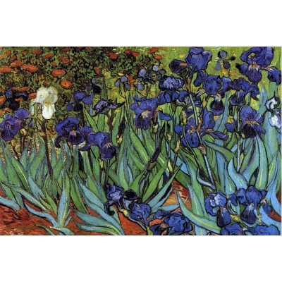 grafika-Puzzle - 100 pieces - Vincent van Gogh, 1889