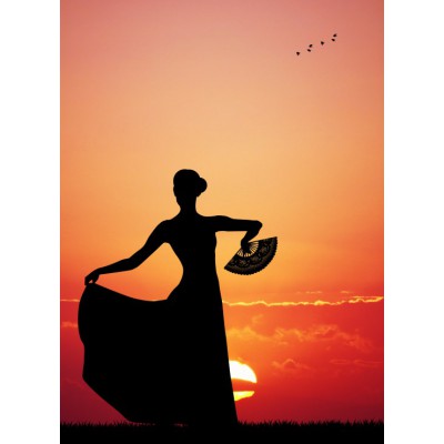 grafika-Puzzle - 300 pieces - Flamenco at Sunset