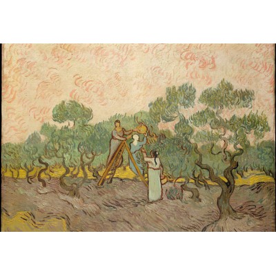 Grafika - 12 pièces - XXL Pieces - Van Gogh: Women Picking Olives,1889